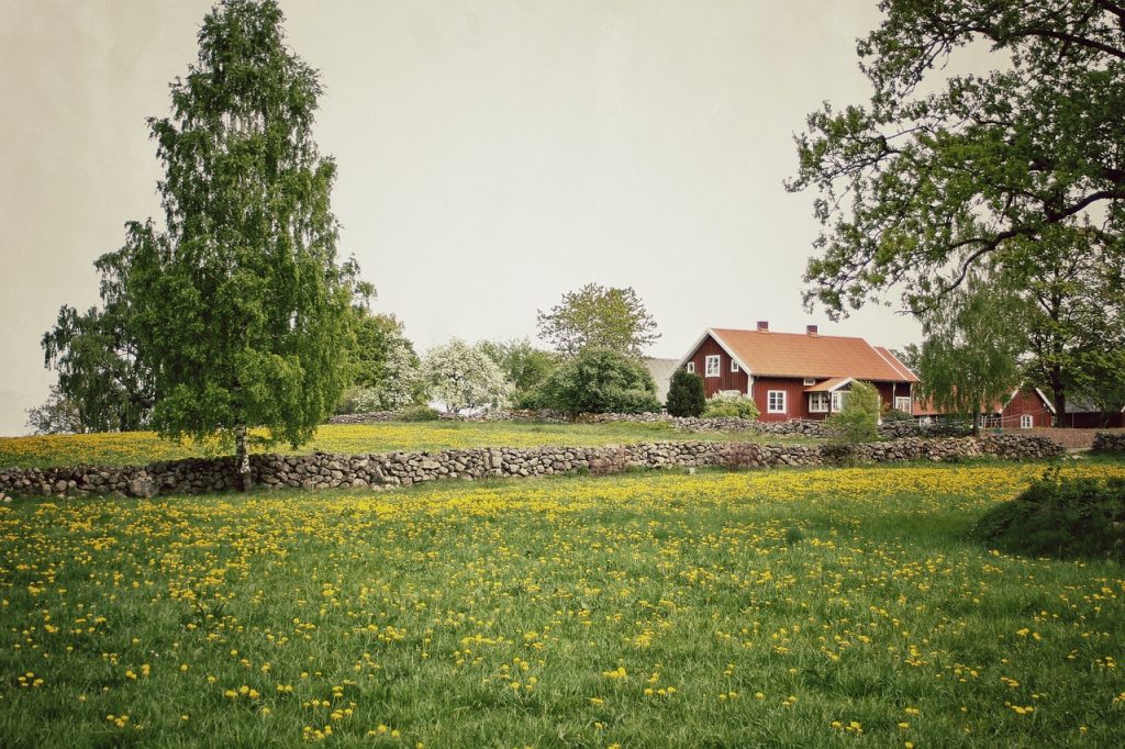 Image by Judith E from Pixabay sweden-786539_1280