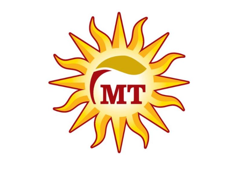 mt logo