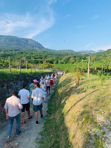 7th International Day of Pinot Noir